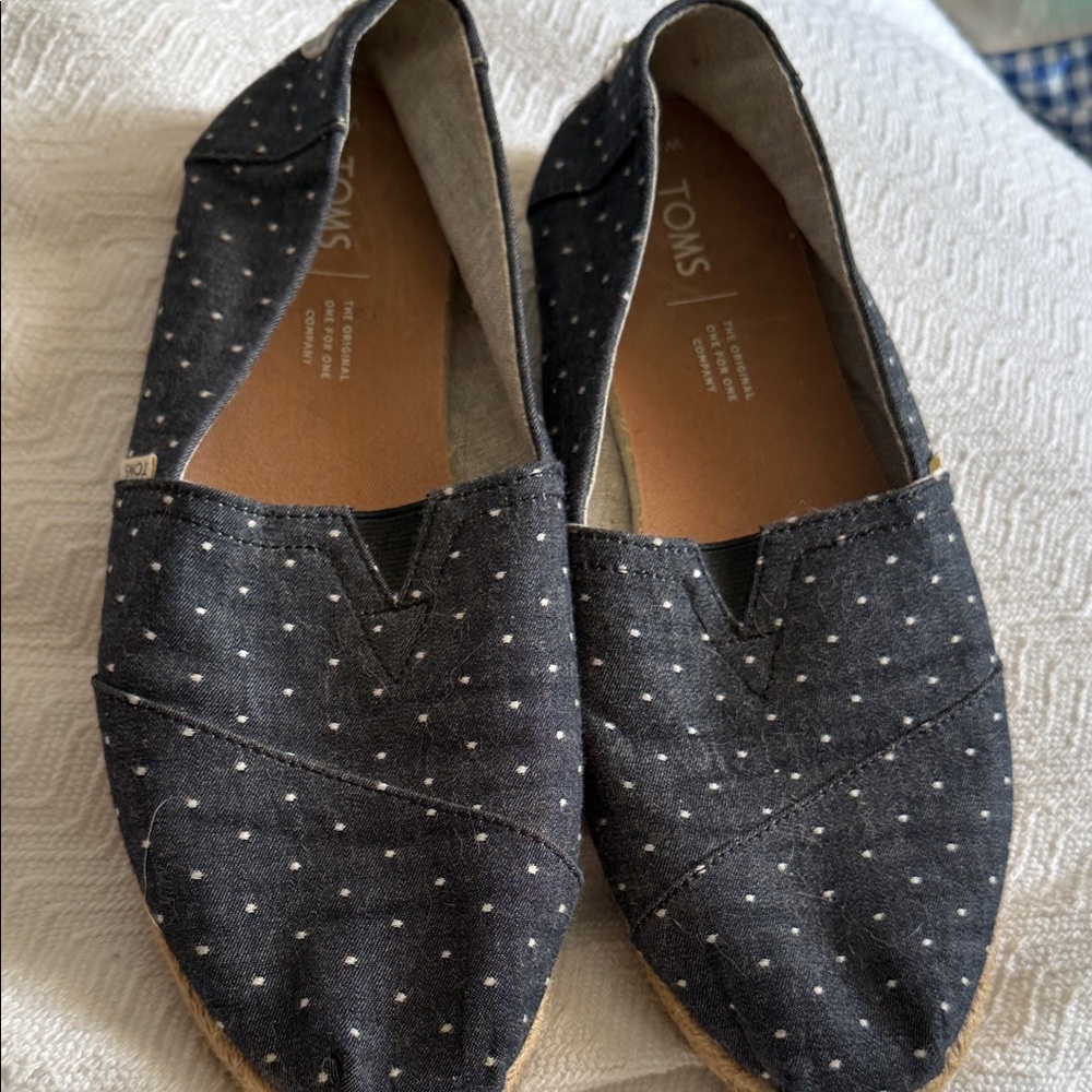 Toms Blue Polka Dot Canvas Classics